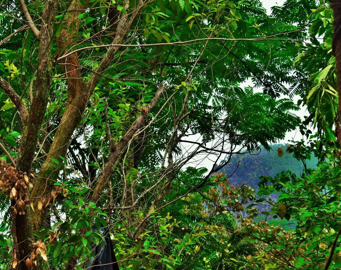 Green Cottage Ella Exterior foto