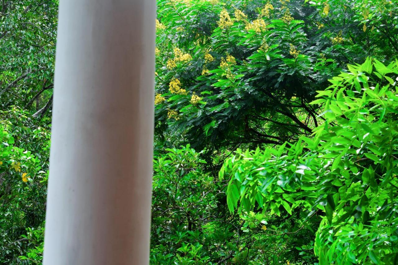 Green Cottage Ella Exterior foto